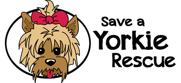 Save A Yorkie Rescue